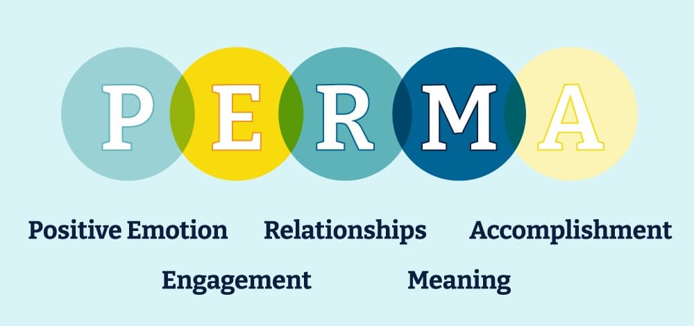 PERMA Model Graphic