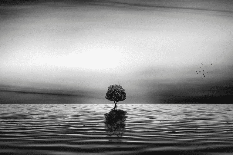 tree-loneliness-dark sky-feeling lost